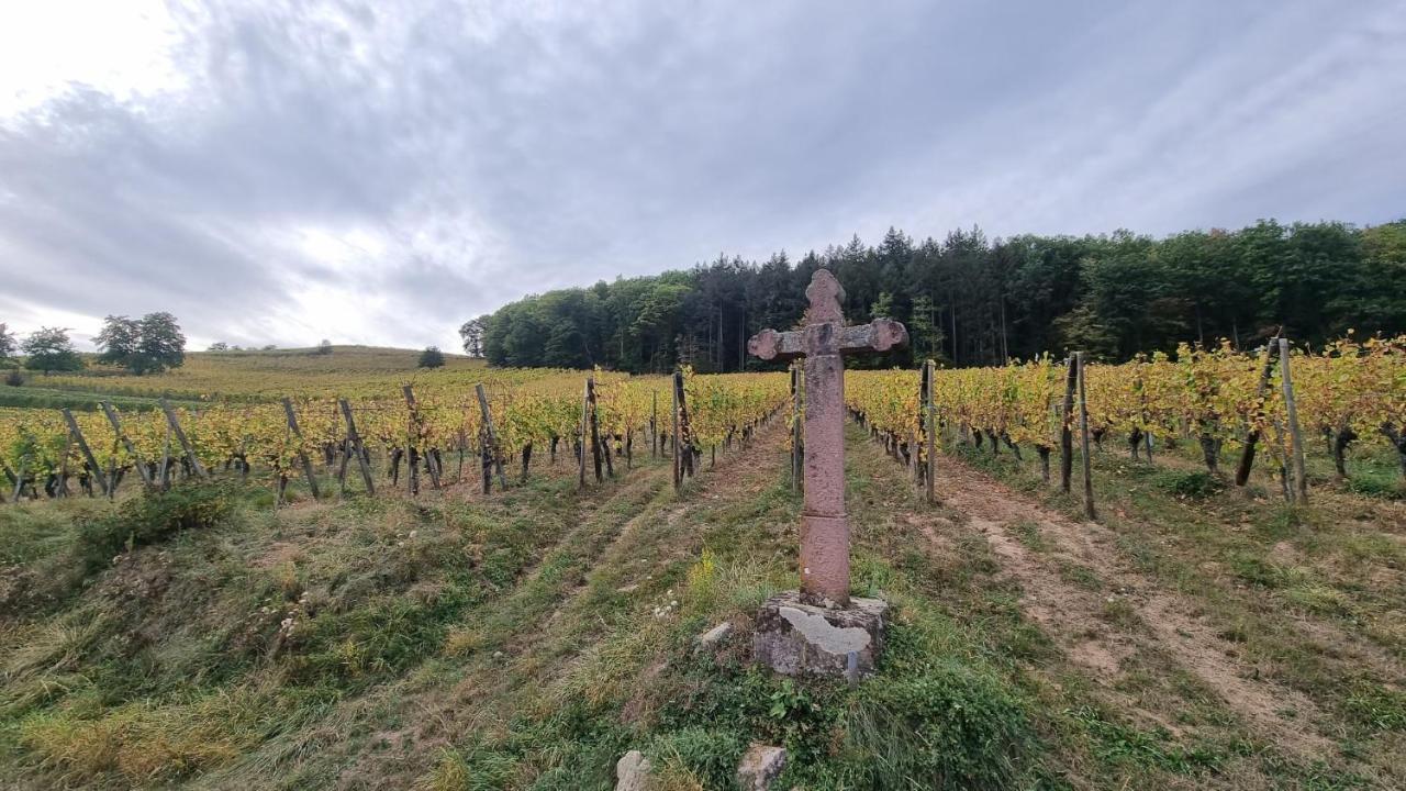 Nid 2 Cigognes Villa Zimmerbach Exteriör bild